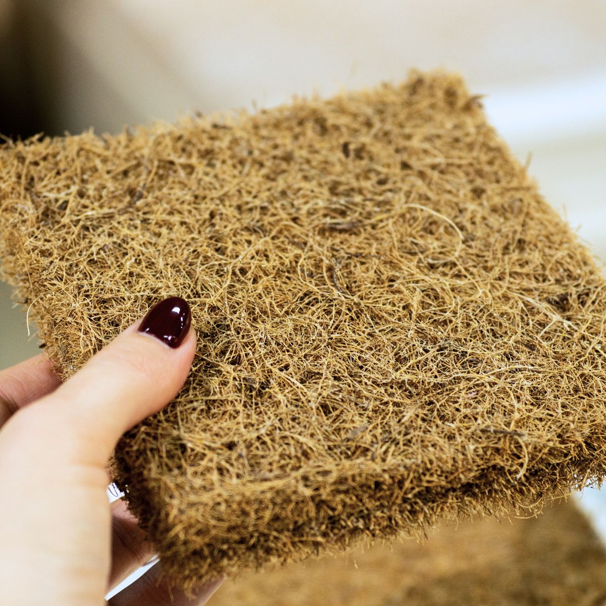 Fibre de coco naturelle pour matelas